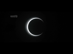 AC100-240V स्पीड गेट टर्नस्टाइल ऑफिस बिल्डिंग ऑप्टिकल स्पीड बैरियर गेट